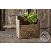 Display Kastje Hoorn | H35 x B36 x D20 cm