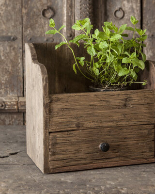 Be-Uniq Display Kastje Hoorn | H35 x B36 x D20 cm