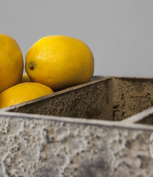 Be-Uniq Tray Dille | 3-Vaks | H6 x B34 x D20 cm