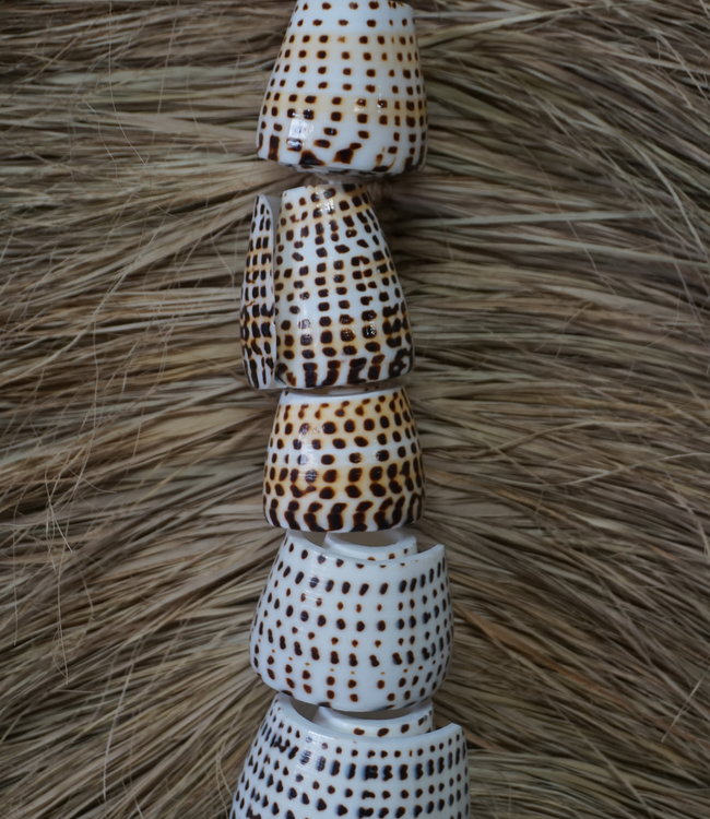 Rene Houtman Schelpenhanger Tijger | H58 x B6 cm