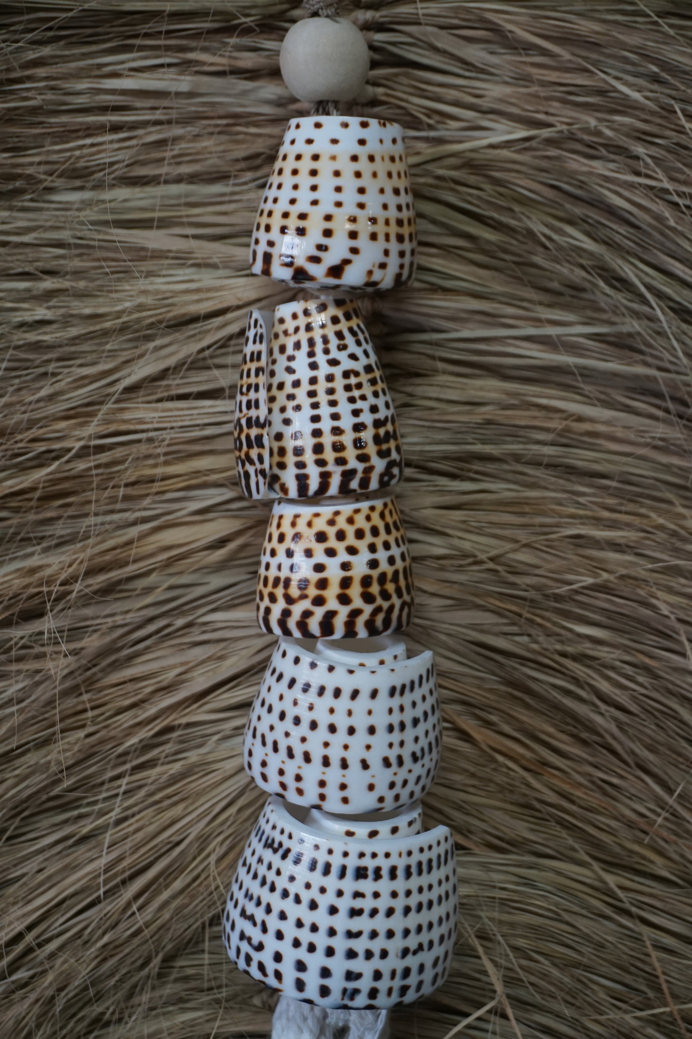 Rene Houtman Schelpenhanger Tijger | H58 x B6 cm