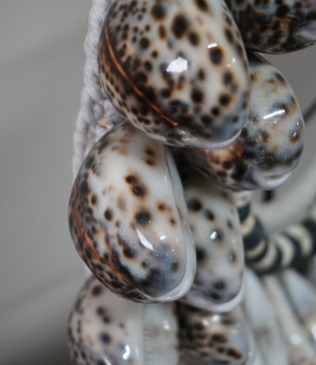 Rene Houtman Schelpenkraag Tijger | H39 x B33 cm