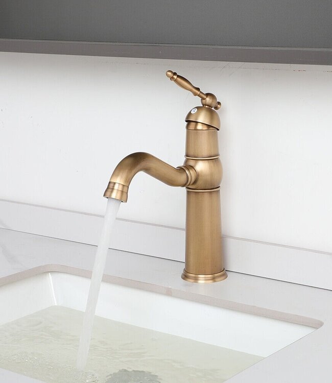 Rene Houtman Mengkraan - Brons