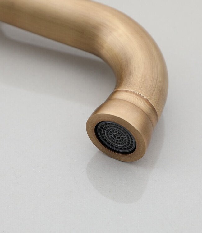 Rene Houtman Mengkraan - Brons