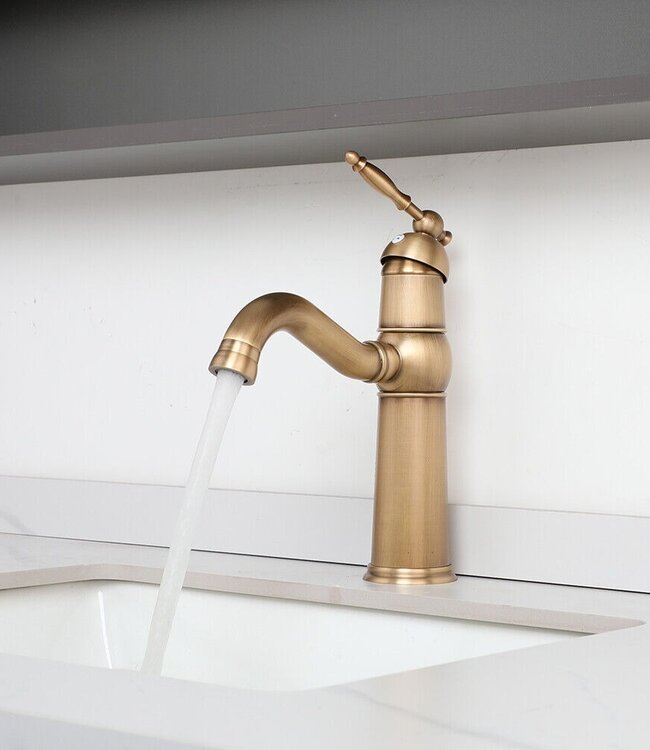 Rene Houtman Mengkraan - Brons