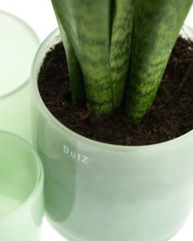 DutZ Cilinder Vaas | Menthol | H14 x D14 cm