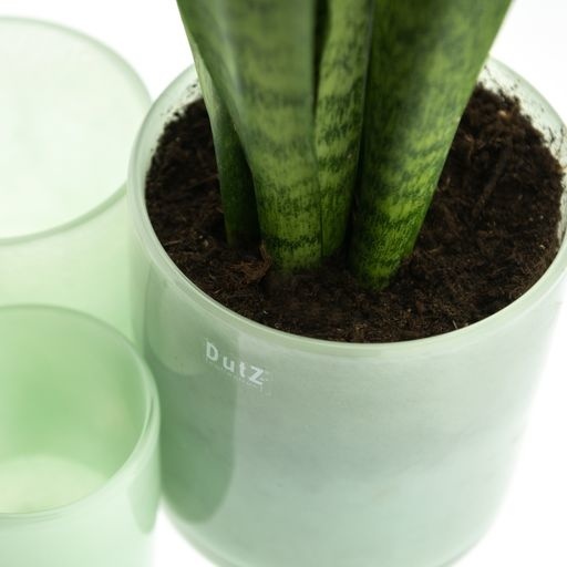 DutZ Cilinder Vaas | Menthol | H14 x D14 cm