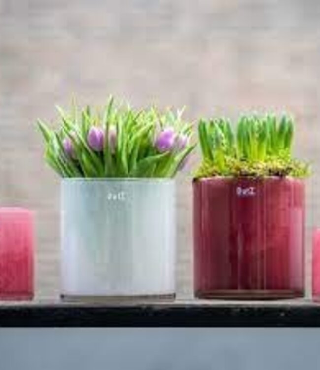 DutZ Cilinder Vaas | Cranberry | H14 x D14 cm