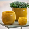 Pot | Goud/Topaz | H11 x D13 cm