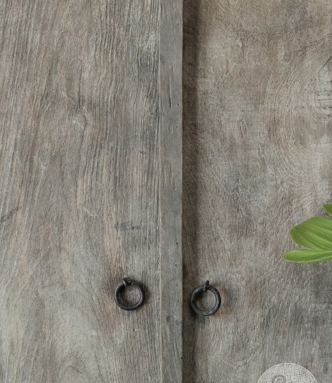 Be-Uniq Smalle 2-Deurs Kast Victoria | H160 x B60 x D40 cm