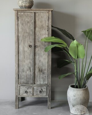 Be-Uniq Smalle 2-Deurs Kast Victoria | H160 x B60 x D40 cm
