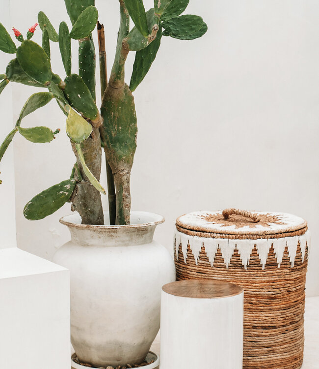 Bazar Bizar Wasmanden | Banana Stitched | Set Van 2