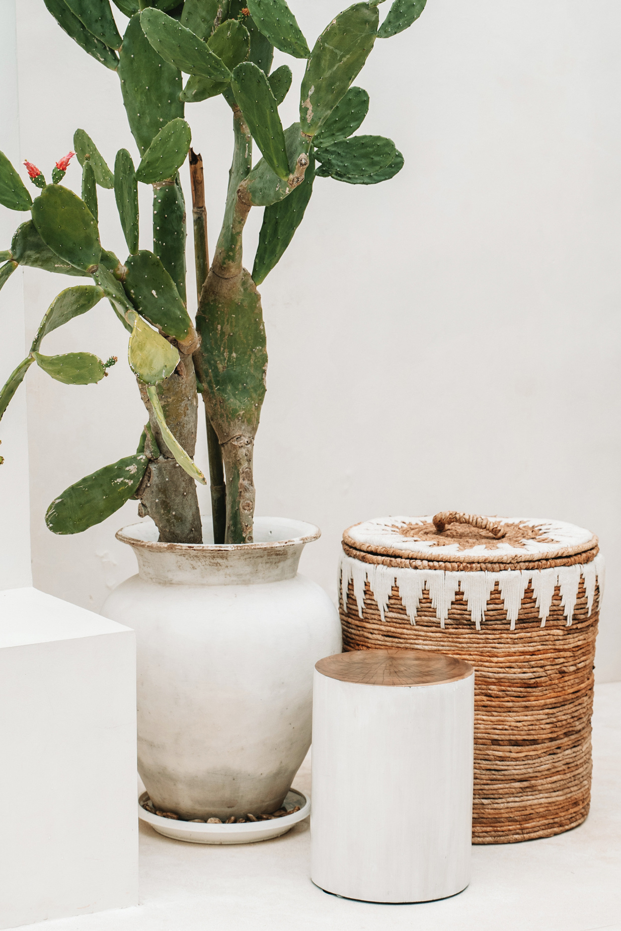 Bazar Bizar Wasmanden | Banana Stitched | Set Van 2