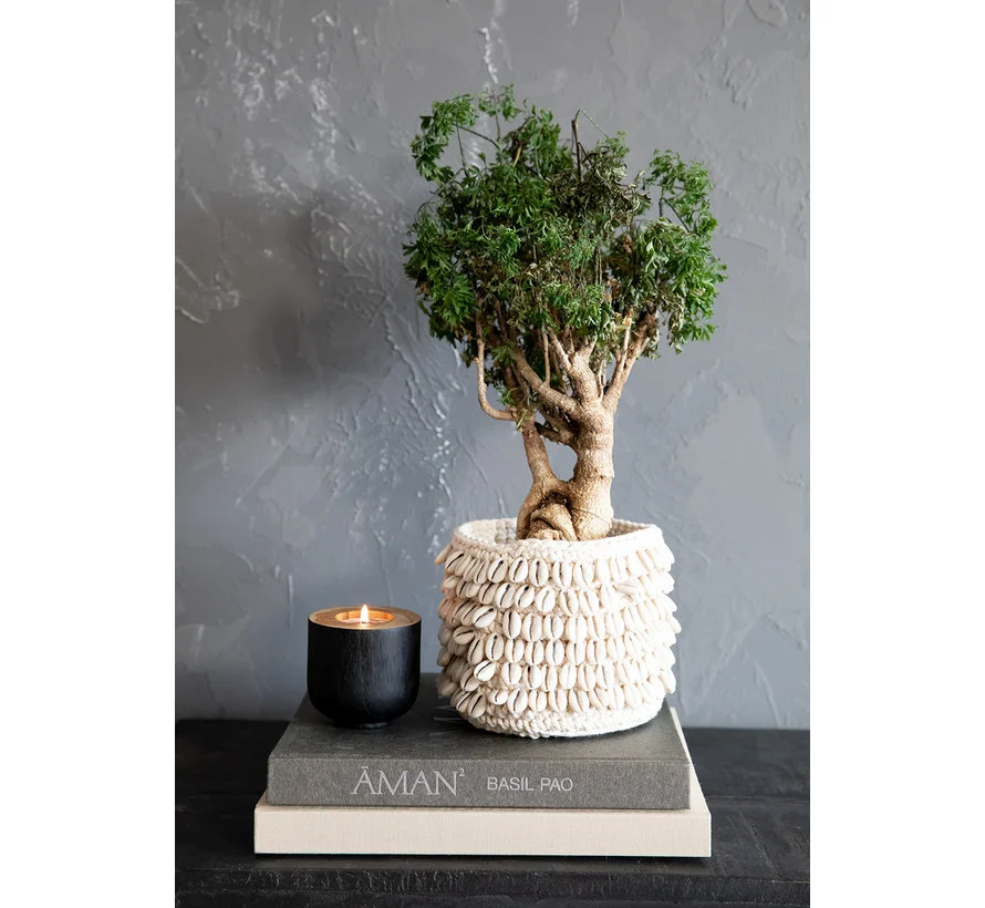 Bazar Bizar Plantenhouder | Cowrie Macrame| Naturel | 2 Maten