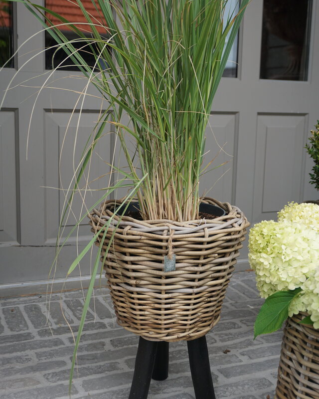 Rene Houtman Drypot Bloempot | Wooden Legs | H45 x D34 cm