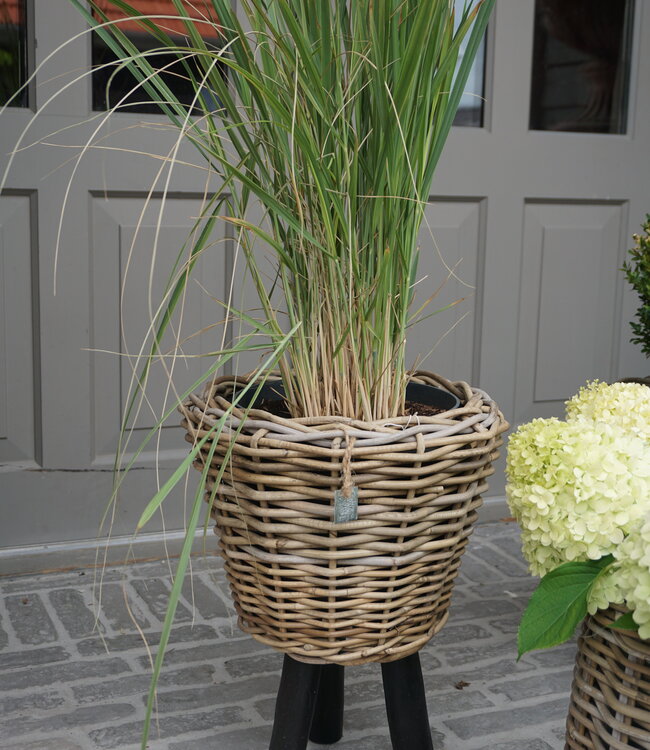 Rene Houtman Drypot Bloempot | Wooden Legs | H45 x D34 cm