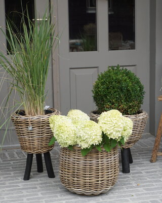 Rene Houtman Drypot Bloempot | Wooden Legs | H40 x D42 cm