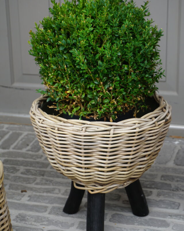Rene Houtman Drypot Bloempot | Wooden Legs | H40 x D42 cm