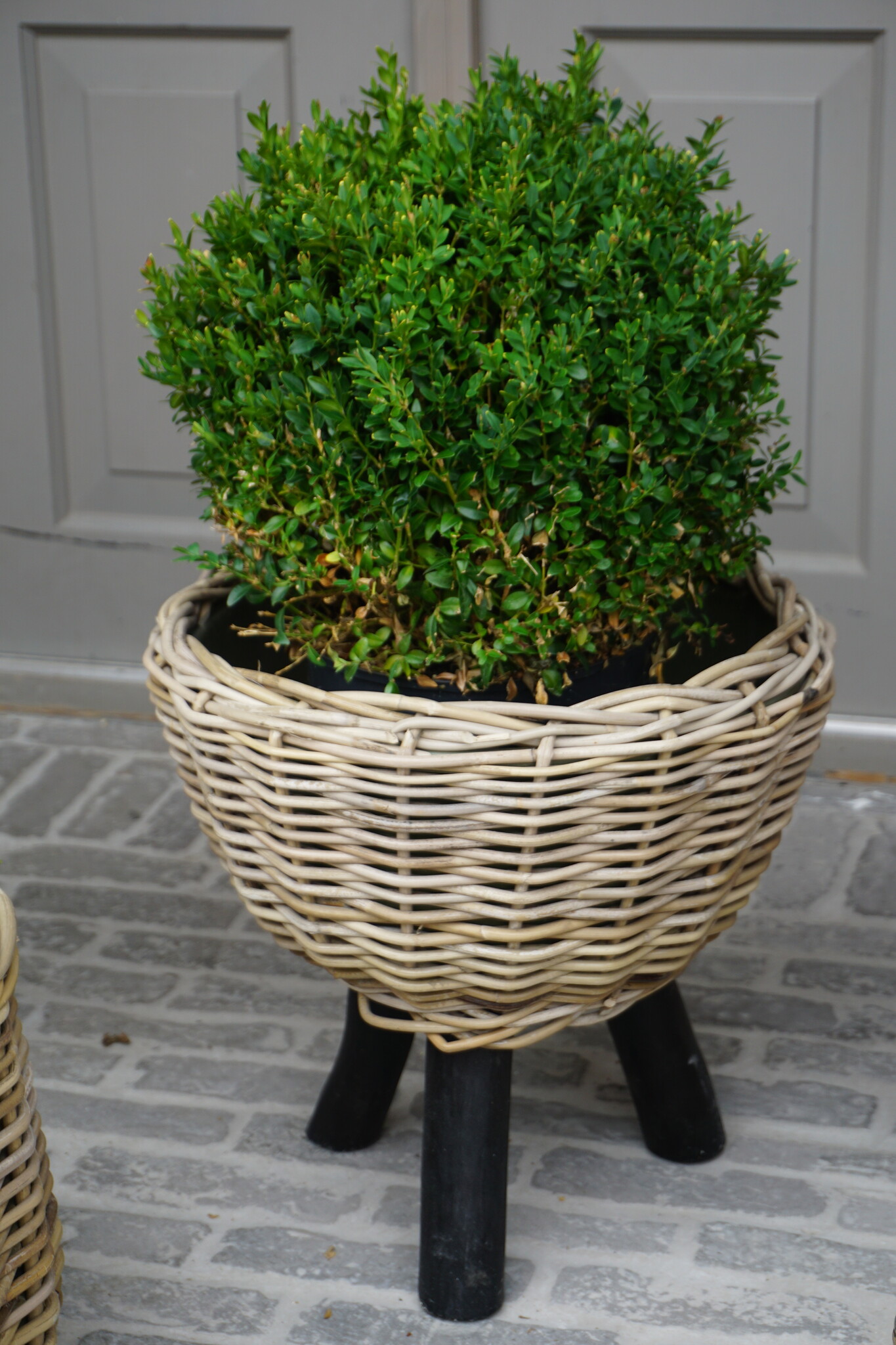 Rene Houtman Drypot Bloempot | Wooden Legs | H40 x D42 cm