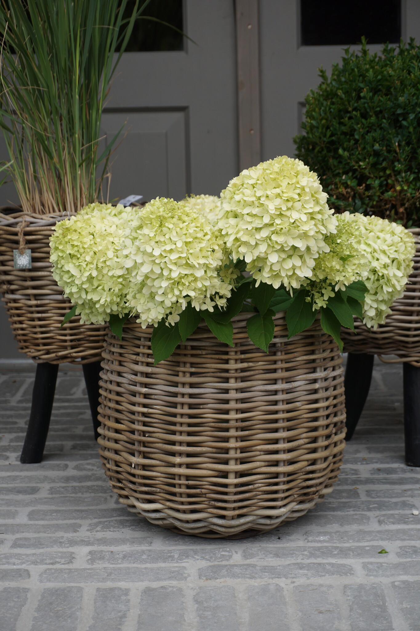 Rene Houtman Drypot Bloempot | Rattan | H33 x D34 cm