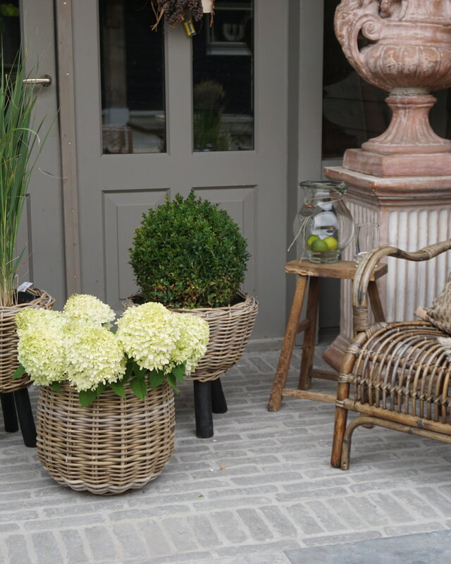 Rene Houtman Drypot Bloempot | Rattan | H33 x D34 cm