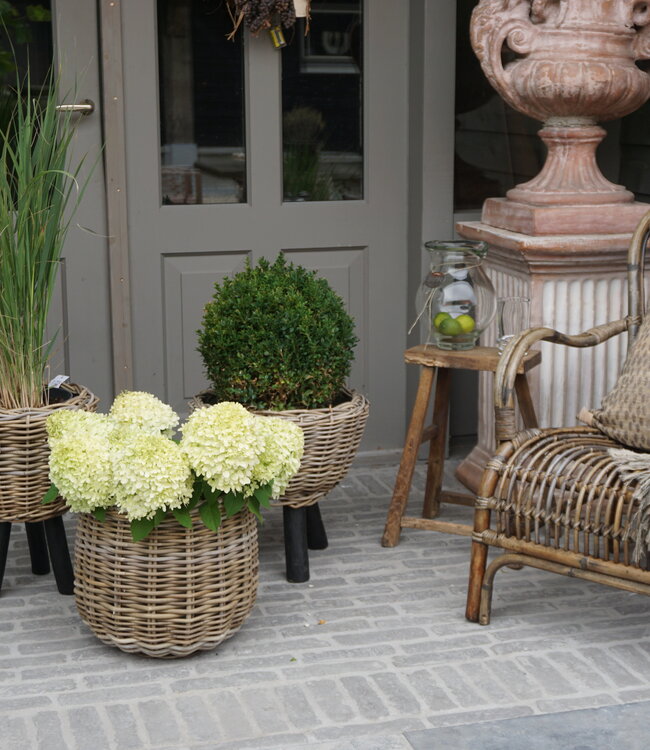 Rene Houtman Drypot Bloempot | Rattan | H33 x D34 cm