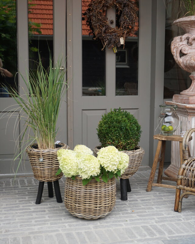Rene Houtman Drypot Bloempot | Rattan | H33 x D34 cm