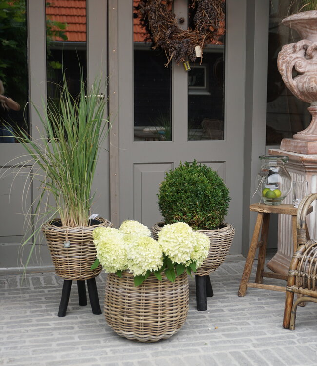 Rene Houtman Drypot Bloempot | Rattan | H33 x D34 cm