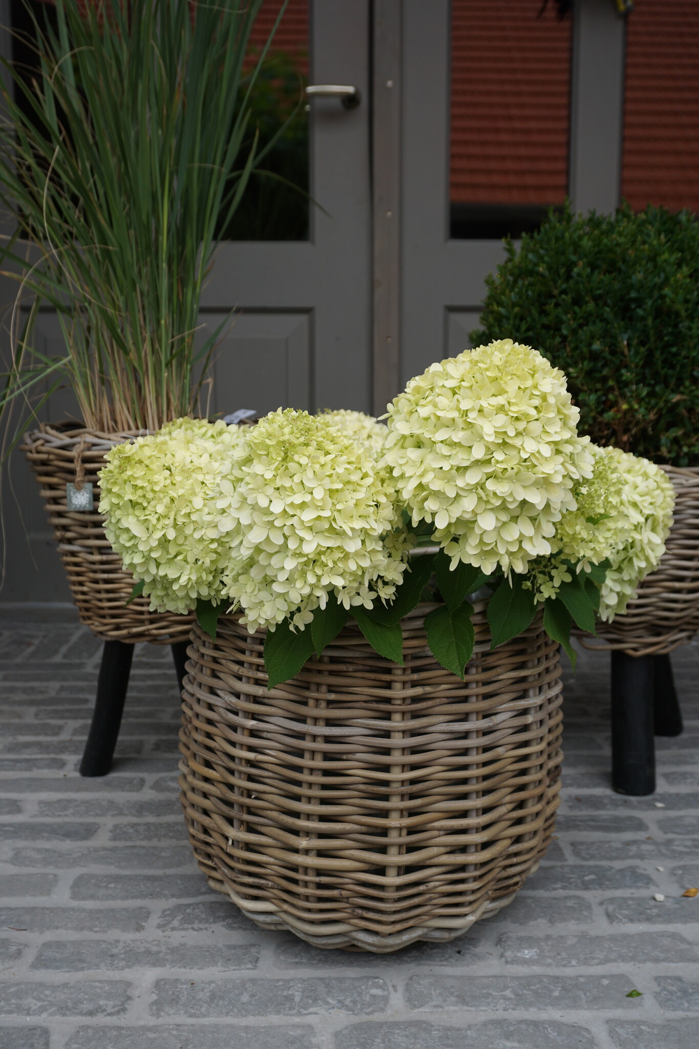 Rene Houtman Drypot Bloempot | Rattan | H33 x D34 cm