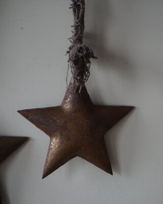 Rene Houtman Metalen Ster | Met Lint | L27 cm