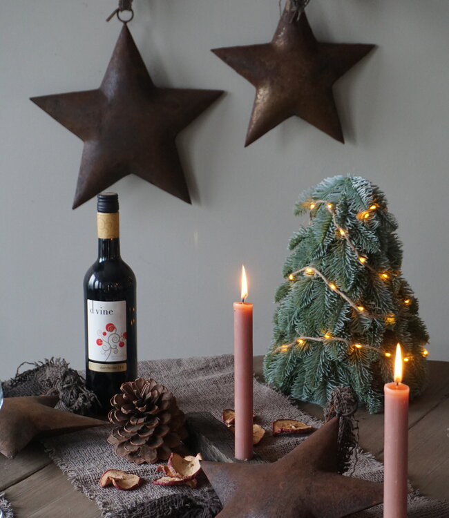 Rene Houtman Metalen Ster | Met Lint | L27 cm