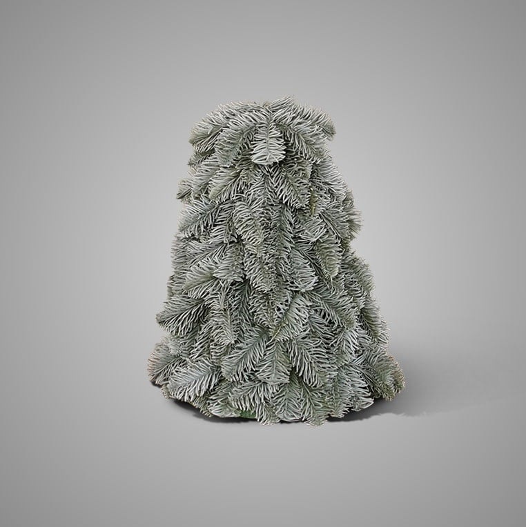 Brynxz Nobilis Boompje | 32 cm