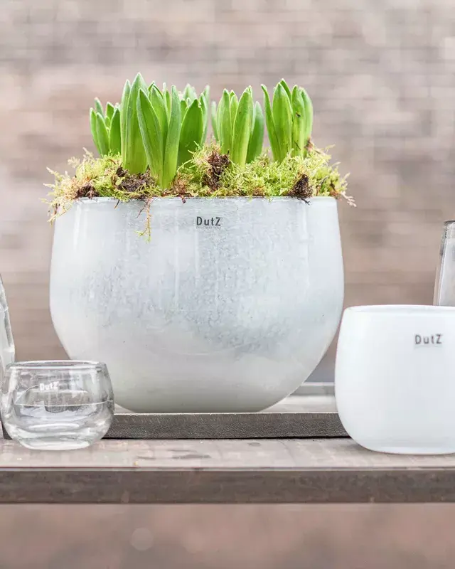 DutZ Pot | Helder | H18 x D20 cm