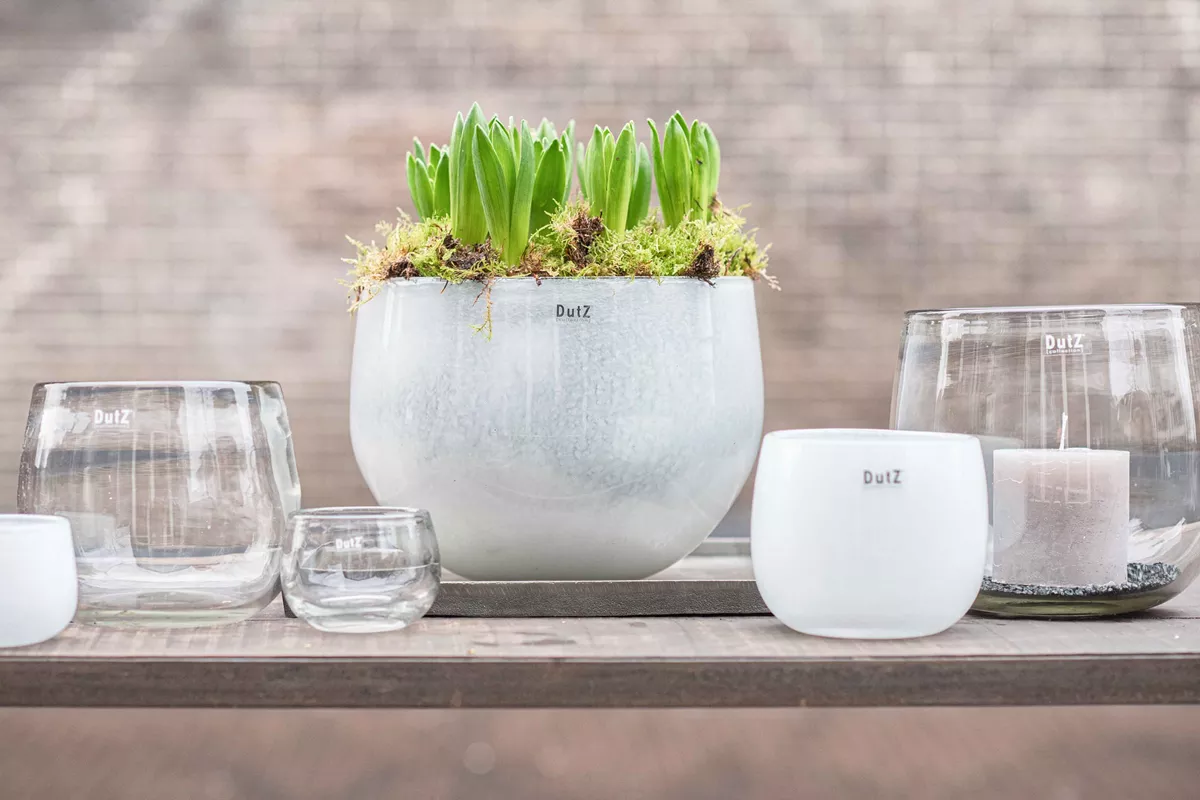 DutZ Pot | Helder | H18 x D20 cm