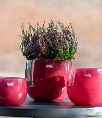DutZ Pot | Framboos | 3 Maten