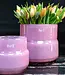 DutZ Pot Maartje | Fuschia | H14 x D16 cm