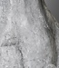 Be-Uniq Beeld Hond | Terracotta | H121xB40xD70 Cm