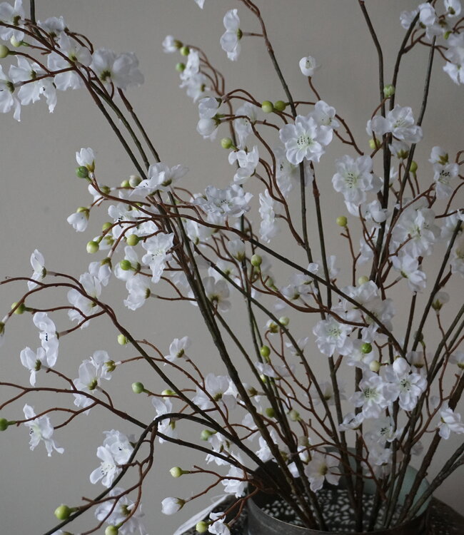 Rene Houtman Zijden Bloesem Takken | Wit | Set Van 3 | H130 cm