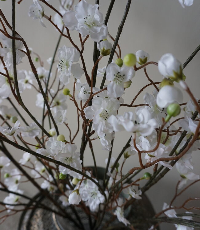 Rene Houtman Zijden Bloesem Takken | Wit | Set Van 3 | H130 cm