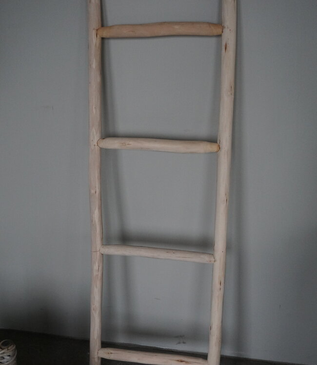 Rene Houtman Decoratieve Ladder | H120 x B40 cm