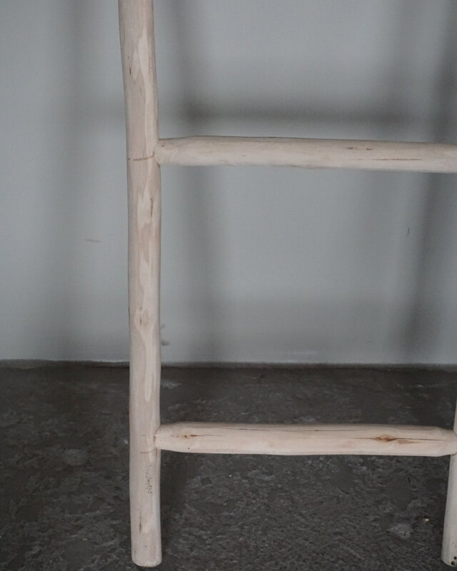 Rene Houtman Decoratieve Ladder | H120 x B40 cm