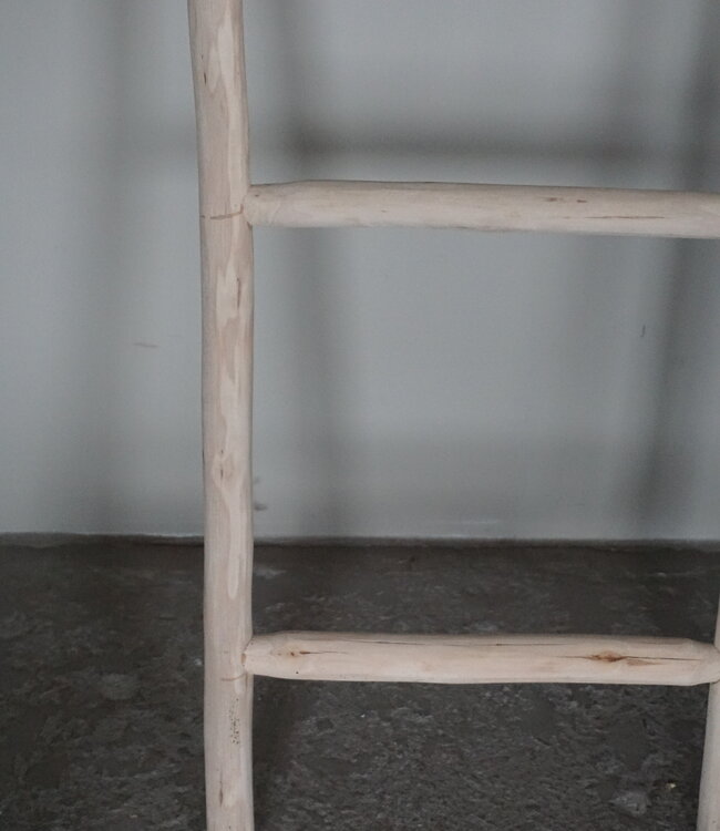 Rene Houtman Decoratieve Ladder | H120 x B40 cm