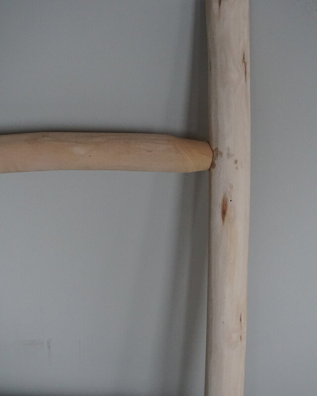 Rene Houtman Decoratieve Ladder | H120 x B40 cm