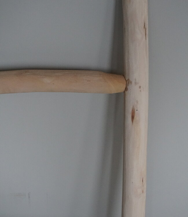 Rene Houtman Decoratieve Ladder | H120 x B40 cm