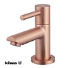 Amador Fonteinkraan Kiwa | 1/2" | Geborsteld Koper
