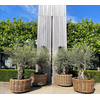 Drypot Bloempot Rattan Outdoor - 4 Maten