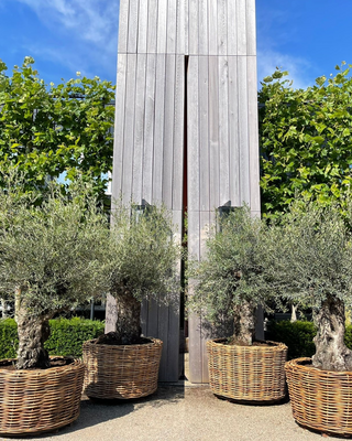 Rene Houtman Drypot Bloempot Rattan Outdoor - 4 Maten