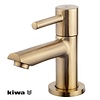 Amador Fonteinkraan Kiwa | 1/2" | Geborsteld Messing