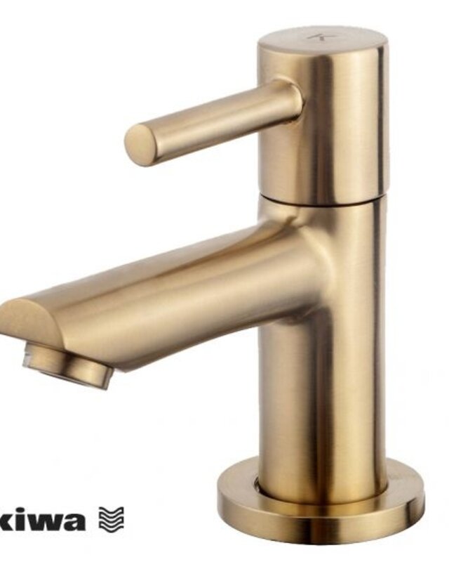 Wiesbaden Amador Fonteinkraan Kiwa | 1/2" | Geborsteld Messing
