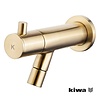 Amador Fonteinkraan Kiwa | Muurbevestiging | 1/2" | Messing